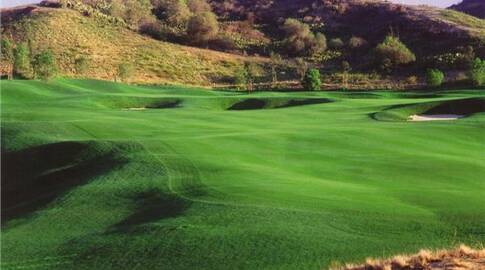 black gold golf course dress code The Club silhouette:Mermaid